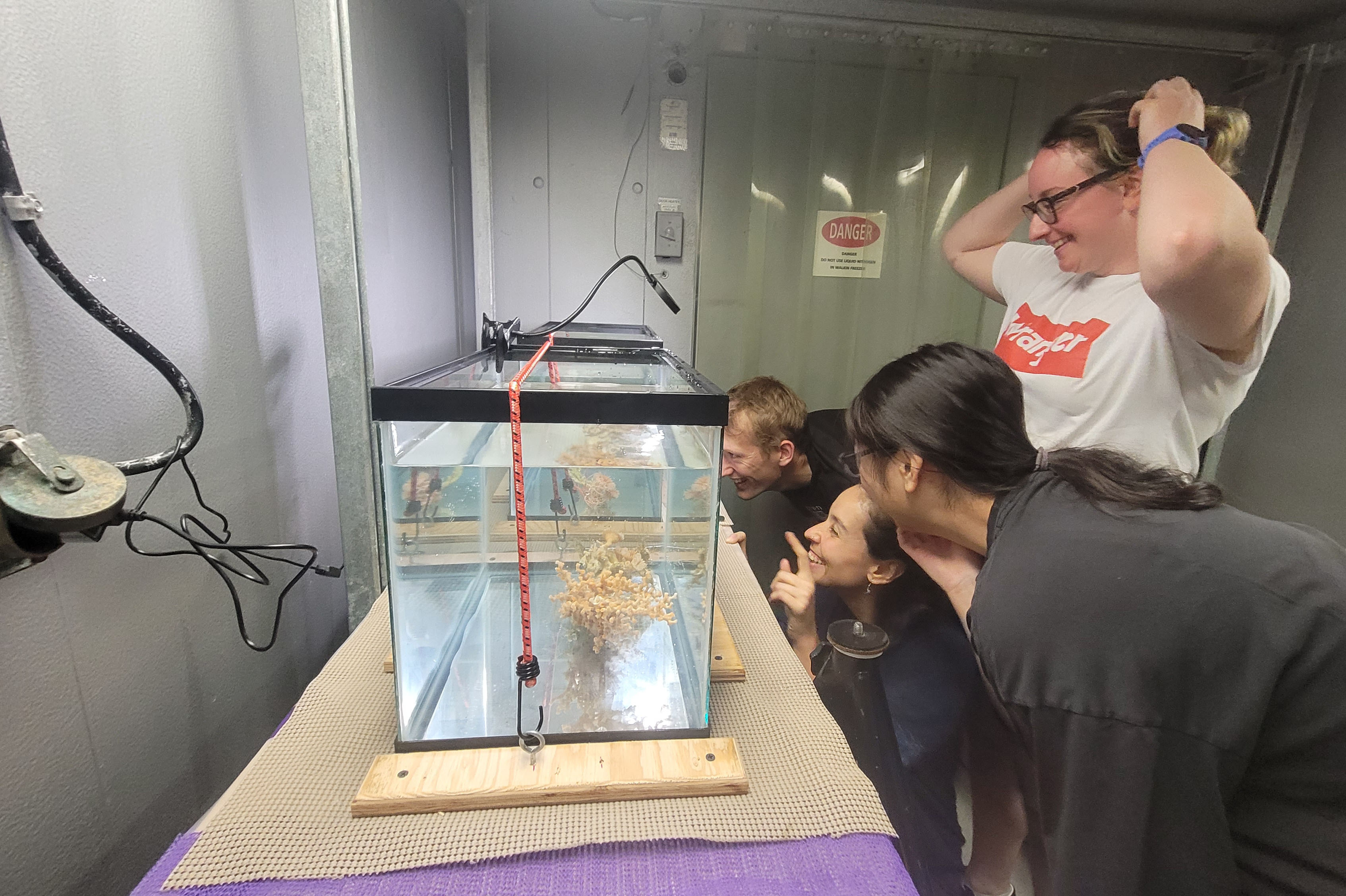 Bristol scientists observing collected samples in the onboard cold-room “aquarium” to simulate the cold seawater conditions found on the deep seafloor